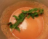 Foto del paso 9 de la receta Sopa fria gazpacha