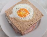 Foto del paso 4 de la receta: Sándwich mixto completo