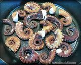 Foto del passaggio 7 della ricetta Polpo Croccante alla Piastra con Fave e Cicorietta