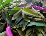 Foto langkah ke 2 dari resep Bupet (Bunga PEpaya Teri) daun singkong.