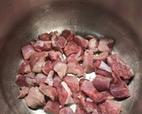 Foto del paso 2 de la receta: Ragout de pavo con verduras