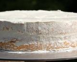 A picture of step 13 of Birthday cake.