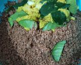 Foto langkah ke 4 dari resep Age Daging Sapi.