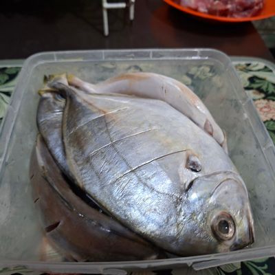 Langkah 1
