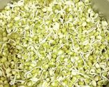 A picture of step 1 of Sprouted Moong and Oats Chilla.