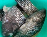Foto langkah ke 1 dari resep Ikan Mujair Woku.