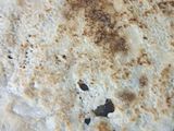 રવા ઢોસા (Rava Dosa Recipe In Gujarati)
