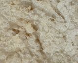 Foto del paso 1 de la receta: Rollos de canela sin gluten