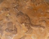 Foto del paso 3 de la receta: Strogonoff de Carne al Estilo Brasilero - Estrogonofe de Carne Simples