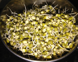 பச்சை பயறு வெந்தய கீரை சப்பாத்தி ரெசிபி ஸ்டேப் 6 புகைப்படம்
