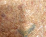 عکس مرحله 2 از دستور کوکوی دل مرغ
