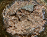 ராகி மில்க் ஷேக்(Ragi milkshake recipe in tamil) ரெசிபி ஸ்டேப் 3 புகைப்படம்