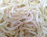 Foto langkah ke 3 dari resep Tumis tauge ikan asin manis.