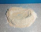 Foto del paso 2 de la receta: Pan rústico (Baguette)