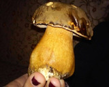 Foto del paso 2 de la receta: Patata trufada pinícola