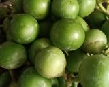 ગુંદા નો સંભારો(gunda no sabharo recipe in Gujarati) રેસીપી સ્ટેપ1ફોટો