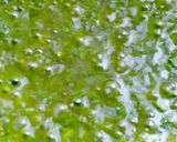 સ્પીનેચ રાઈસ(spinch rice recipe in gujarati) રેસીપી સ્ટેપ3ફોટો