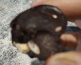 Foto del paso 1 de la receta: Bombón de chocolate y frutas secas