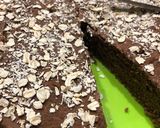 Foto del passaggio 4 della ricetta Torta light senza glutine cacao e limone