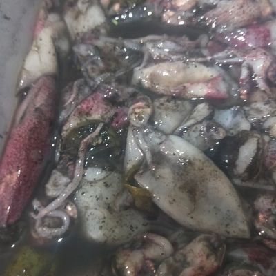 Langkah 1