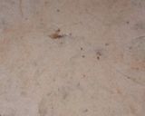 A picture of step 2 of Aloo paratha.