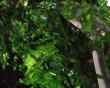 A picture of step 3 of Instant Palak Aloo.