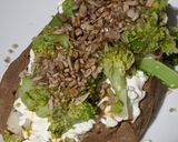 A picture of step 5 of The Green Goddess's Rock Garden.