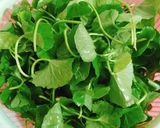 Hình bước làm 1 của món Nước rau má đậu xanh