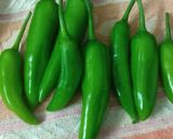 मिरची भजी (Mirchi Bhajji Recipe In Marathi) रेसिपी स्टेप 1 फोटो 