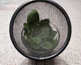 Foto del paso 9 de la receta: Té verde con hierbabuena