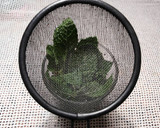 Foto del paso 9 de la receta: Té verde con hierbabuena