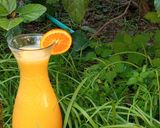 Une image de l'étape 4 de Jus de carotte 🥕🥕🥕.
