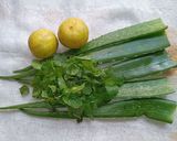 A picture of step 1 of AloeVera, mint and lemon juice.