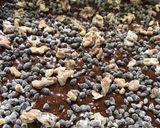 Gambar langkah 6 resipi Kek Pisang Coklat Kayangan.