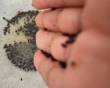 A picture of step 2 of Leftover Idli fry for kids.
