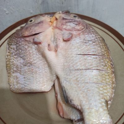 Langkah 1