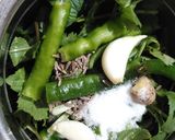 चटपटी पुदीना की चटनी (chatpati pudina ki chutney recipe in Hindi) रेसिपी चरण 3 फोटो