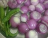 प्याज़ की सब्ज़ी (Pyaz ki sabzi recipe in Hindi) रेसिपी चरण 1 फोटो