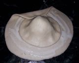 A picture of step 6 of Chandrakala gujiya.