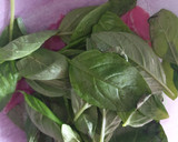 Foto del paso 2 de la receta: Aceite de albahaca casero