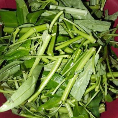 Langkah 1
