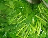 Foto langkah ke 1 dari resep Sigeumchi namul bon cabe.