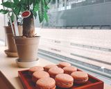 Hình bước làm 8 của món Macaron với kem bơ
