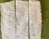 A picture of step 4 of Tiranga Mini Rolls.