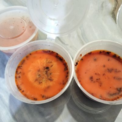 Langkah 8