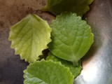 કાઢા(kadha recipe in Gujarati)