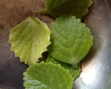 કાઢા(kadha recipe in Gujarati) રેસીપી સ્ટેપ1ફોટો
