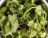 Green Chutney/ Coriander Mint Chutney recipe step 1 photo