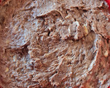Foto del paso 2 de la receta: Brownie saludable sin balanza, sin harina, sin azúcar ni edulco, sin huevo, sin manteca ni aceite
