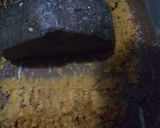 A picture of step 4 of Chany ke dal ka Halwa,.